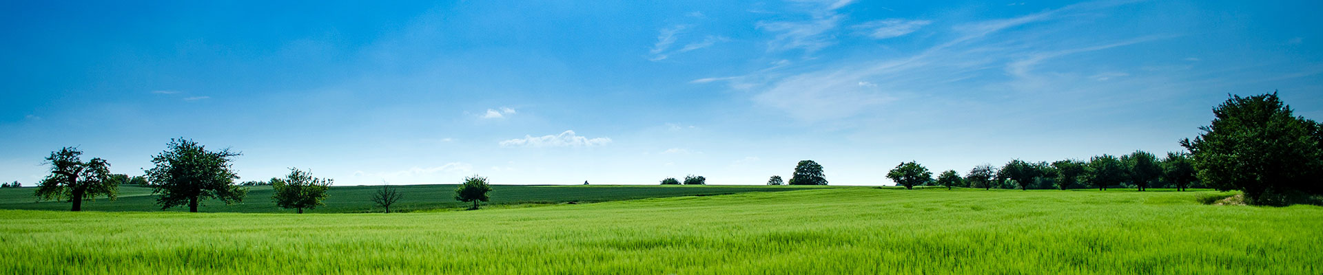 創(chuàng)優(yōu)質(zhì)品牌,鑄一流形象